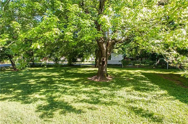 Back yard