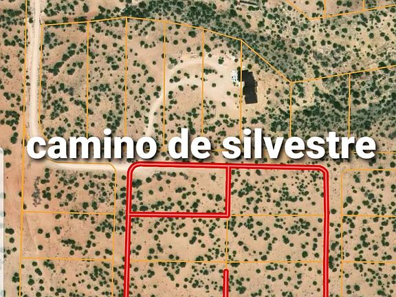 2nd image of Camino De Silvestre