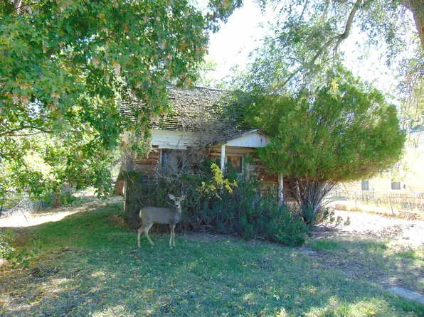 306 Putney Ave, Collbran, CO 81624