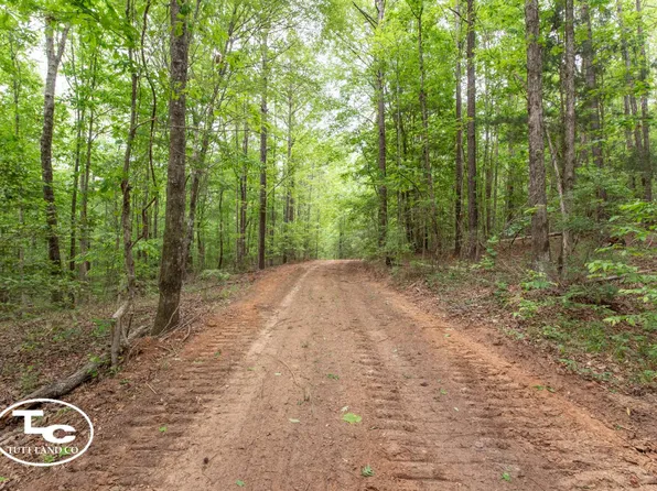 0 Martin Luther King Hwy, Eutaw, AL 35462