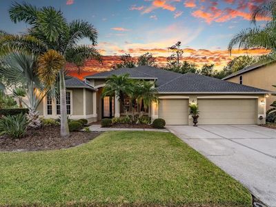 3353 Loggerhead Way, Wesley Chapel, FL, 33544