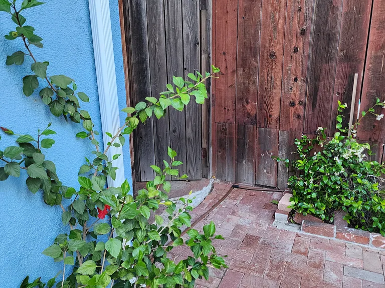 6641 Blucher Ave — Photo 5