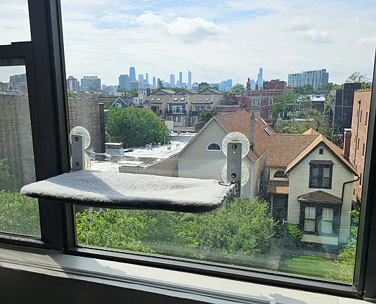 722 W Diversey Pkwy #502 — Photo 13