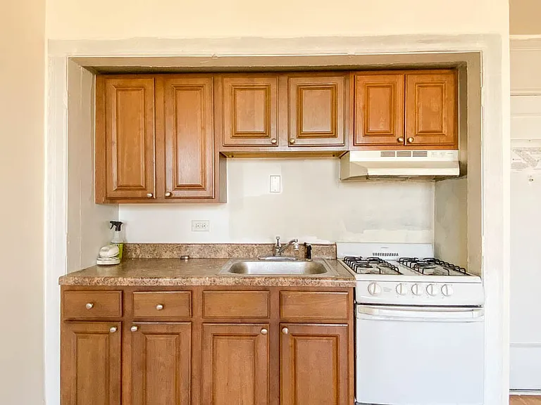 3335 W Diversey Ave #913 — Photo 3