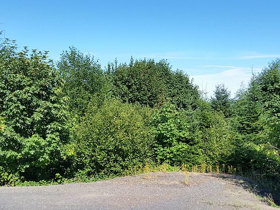 4th image of 2 5 Acre Mt. Rainier View Properties