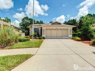 4211 Silver Berry Ct, Spring Hill, FL 34609