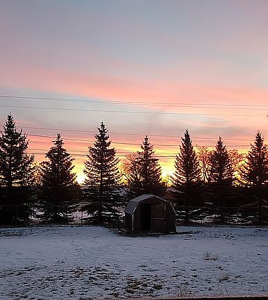 Backyard (winter)