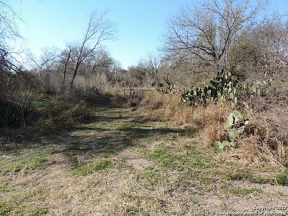 2nd image of 22 ACRES CR 128 - River Bottom