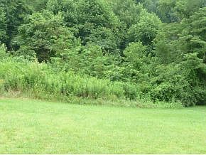 2nd image of LOT 5 Meadow Lark St