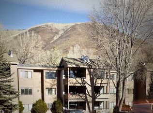 213 Vine St, Aspen, CO 81611