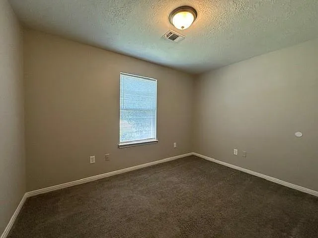 16313 Many Trees Ln — Photo 12