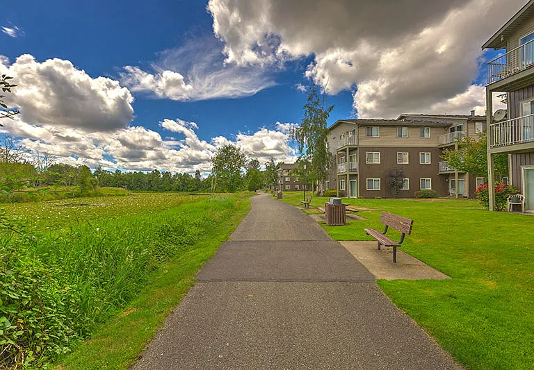 Walking Paths and Resting Benches