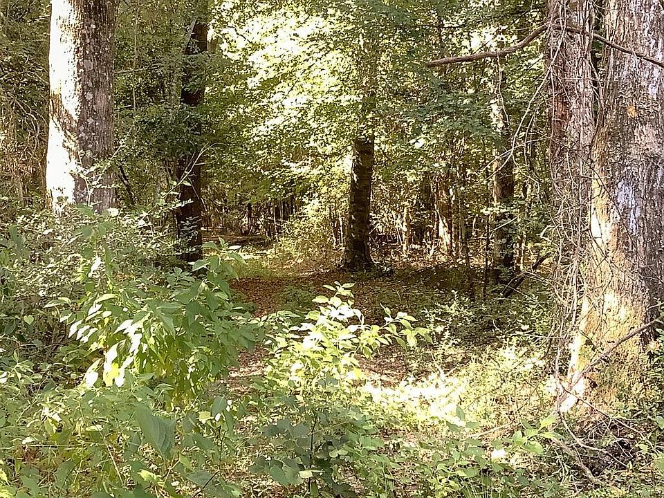 1st image of 9101 County Road 22