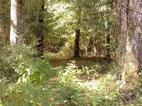 9101 County Road 22, Jasper, TX 75951
