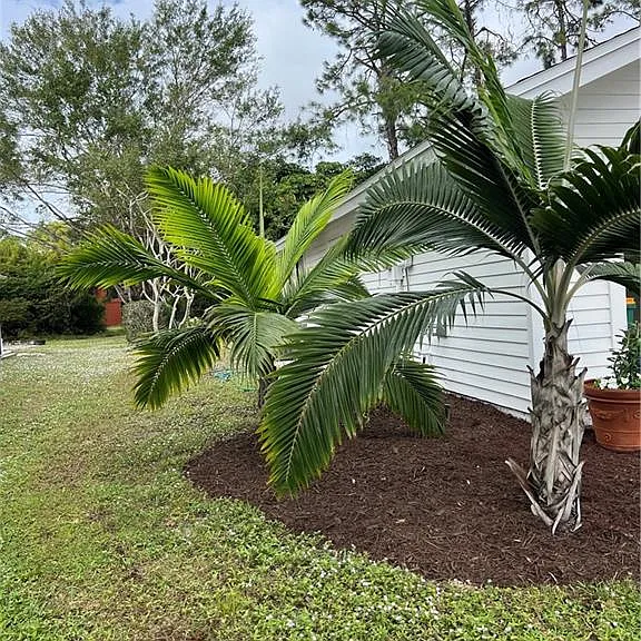 2251 Queens Way E — Photo 2