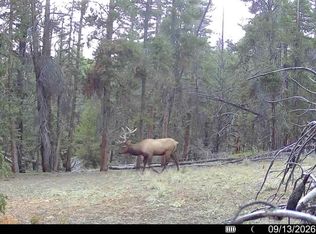 Ten High Lane, Alma, CO 80420