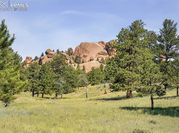 27 Fetlock Cir, Florissant, CO 80816