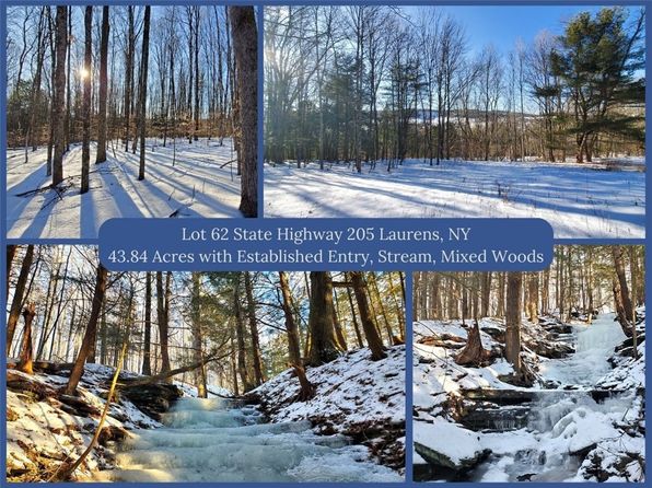 LOT 62 State Highway 205, Mount Vision, NY 13810