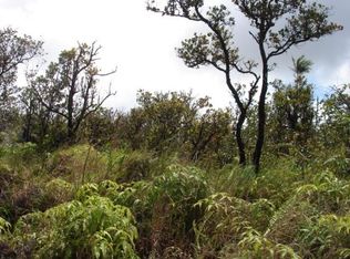 11 2287th #20, Volcano, HI 96785