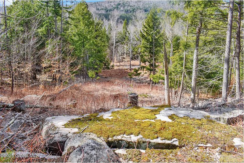 5th image of L17 Mountain Meadows Road