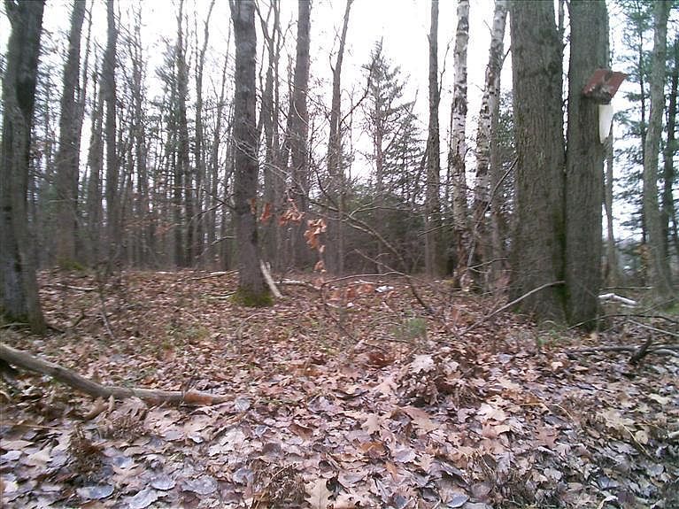 2nd image of 3 Mile Rd