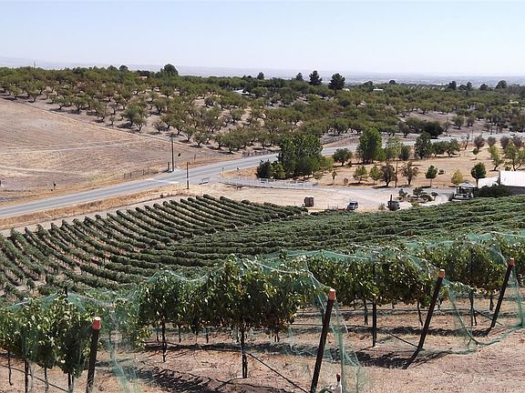 overlooking grapes and hills