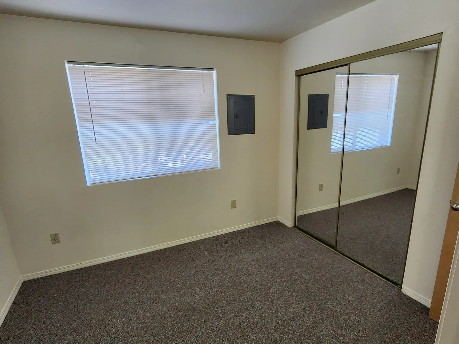 1 bed, $875 — Photo 4