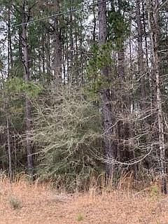 1st image of Pine Meadow Rd