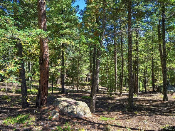 30092 Kings Valley E, Conifer, CO 80433