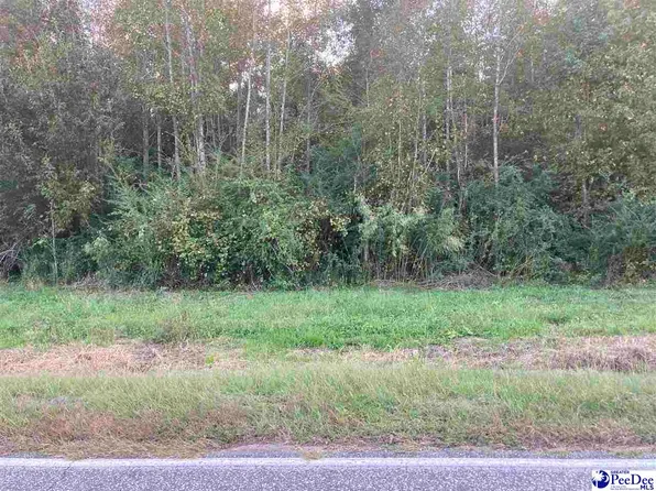 2361 Old River Rd, Fork, SC 29543