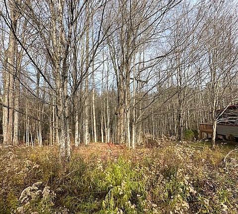 3rd image of 34 Westwood Dr