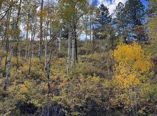 Aspen Dr LOT 439, Ridgway, CO 81432