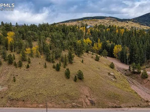 65 Portland Dr, Cripple Creek, CO 80813