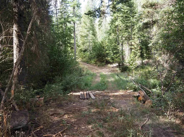 4898 Getna Way, Springdale, WA 99173