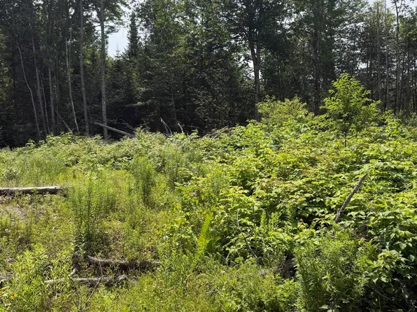 M6L23-4 Pinewood Drive, Corinth, ME 04427