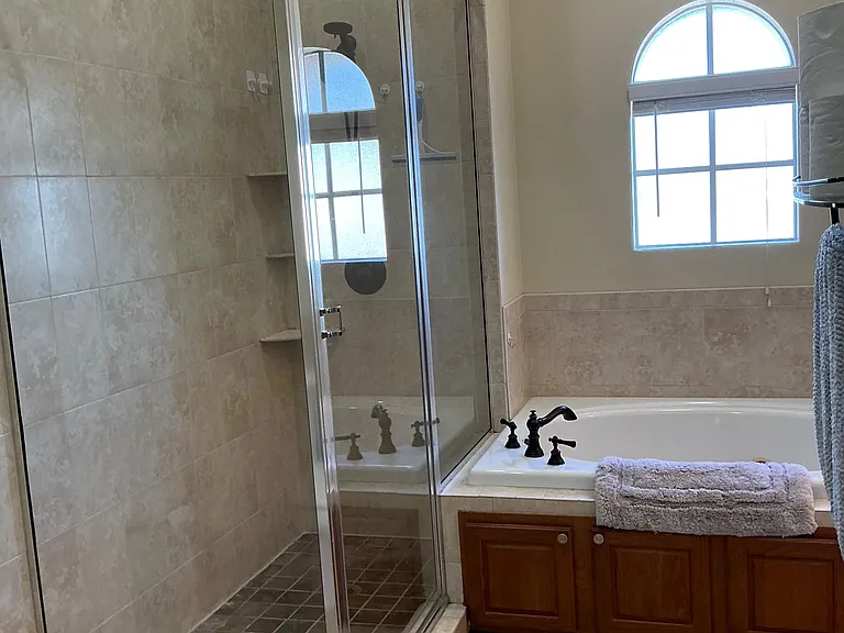 Shower and Large Tub