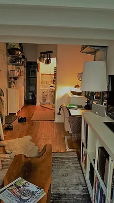 Rented by Eric Goodman Realty Corp | media 15