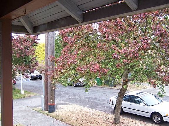 Quite neighborhood