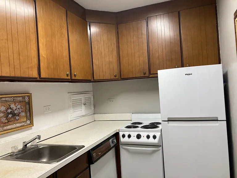 112 Washington Pl #12E — Photo 5