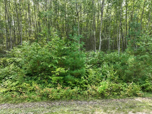Tbd Hillsdale Way NW, Walker, MN 56484