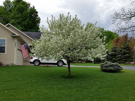 Spring Front View