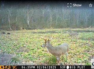 2715 Herrondale East Rd, Henry, TN 38231