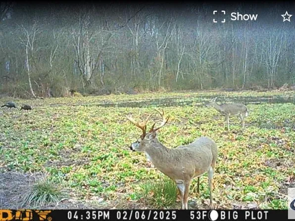 2715 Herrondale East Rd, Henry, TN 38231