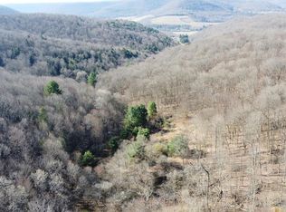 0 Fox Hollow Rd, Roulette, PA 16746