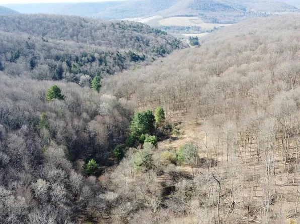 0 Fox Hollow Rd, Roulette, PA 16746