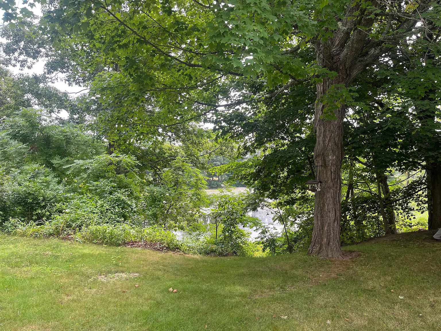 3 bed, $2,850 — Photo 3