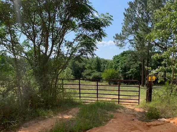 0 Bethlehem Rd, Mauk, GA 31058
