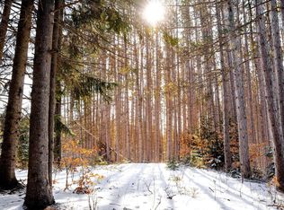 13375 Viaduct Rd, Copemish, MI 49625