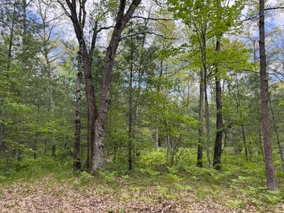 Harris Rd, Wellston, MI, 49689