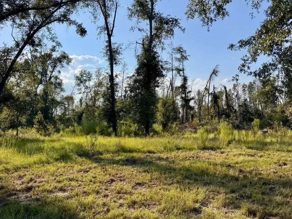 Lot2f Southwest Ln #52, Jasper, FL 32052
